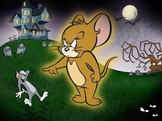 cartoons tom and jerry halloween wallpaper  download cool