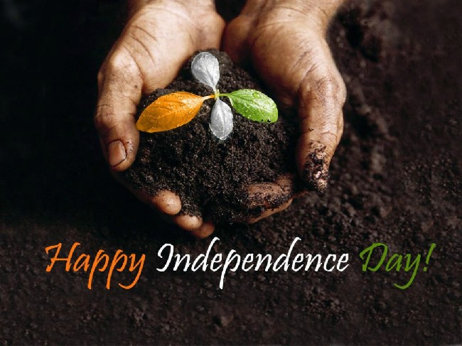 Happy Independence Day Wallpaper Hd | Download cool HD wallpapers here.