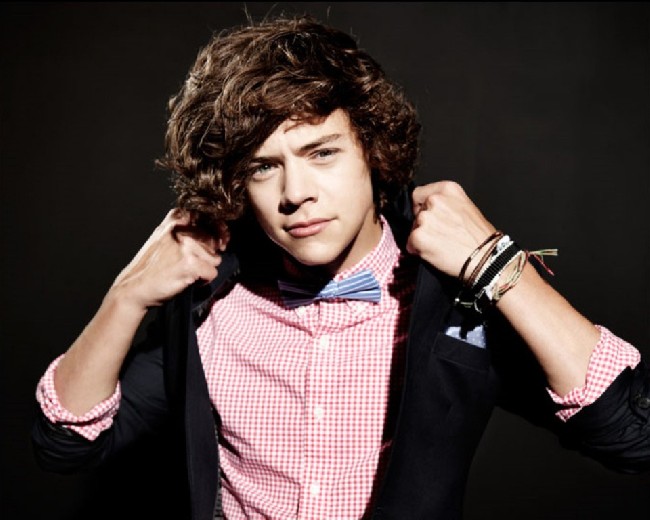 Harry Styles 2013 | Download cool HD wallpapers here.