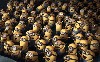 2013 Despicable Me 2 Hd Wallpaper wallpaper