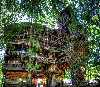 Amazing Tree House Design Wallpaper wallpaper