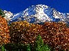 Autumn Mountain Wallpaper wallpaper