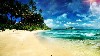 Beach Nature Background wallpaper