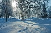 Beautiful Nature Winter wallpaper