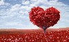 Beautiful Red Heart Tree Wallpaper wallpaper