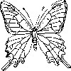 Butterfly Coloring Pages Wa wallpaper