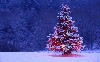 Christmas Snow Tree Hd Wallpaper wallpaper