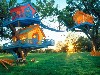 Cool Kids Tree House Design Wallpaper wallpaper