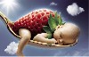 Cute Baby Sleeping Funny Image Wallpaper wallpaper