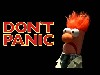 Dont Panic Funny Picture Wallpaper wallpaper