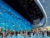 Dubai Mall Aquarium wallpaper