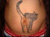 Funny Tattoos wallpaper