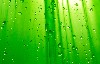 Green Desktop Background wallpaper
