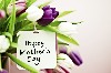 Happy Mothers Day Greetings Wallpaper wallpaper