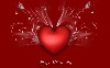 Happy Valentines Day Red Background Wallpaper wallpaper