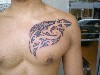 Maori Tattoo Design Wallpaper wallpaper