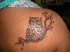 Owl Tattoos wallpaper