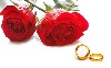 Rose Day 2013 wallpaper