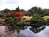 Shinjuku Gyoen Hd Wallpaper wallpaper