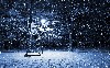 Snow Nigth Winter Season Wallpaper wallpaper