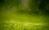 Spring Rain Wallpaper wallpaper