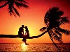 Sweet Lovers Image Wallpaper wallpaper