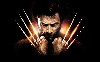 The Wolverine wallpaper