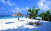 Tropical Beach Hd Wallpaper wallpaper