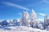 Winter Nature Wallpaper wallpaper