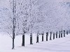 Winter Wallpaper Hd wallpaper