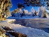 Winter Wallpaper wallpaper